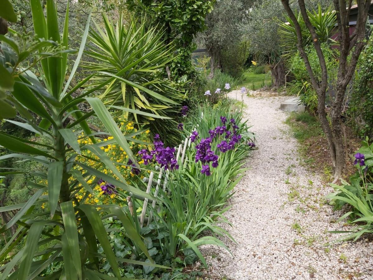 Bastide De La Lauve Bed & Breakfast Magagnosc Exterior photo